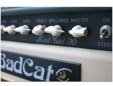 Hot Cat 30
