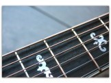 CJ Sunburst