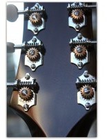CJ Sunburst