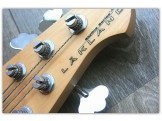 Joe Osborn 5 strings