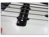 Joe Osborn 5 strings