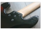 Joe Osborn 5 strings
