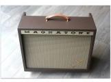 Panoramic Stereo 2 x 10