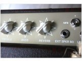 Varsity 12 Reverb