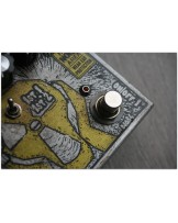 Zenfuzz/High Noise Area
