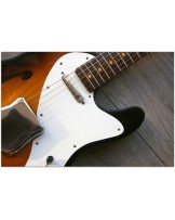 Limited Relic 50s Thinline Tele 