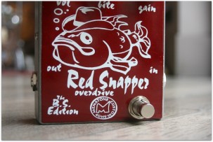 Red Snapper 20th