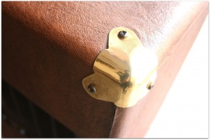 GA-15RV 1x12 Goldtone