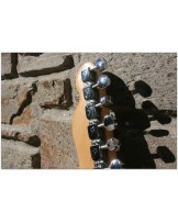 Telecaster 1978 Maui Blue