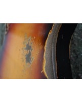 Fender Telecaster 1963