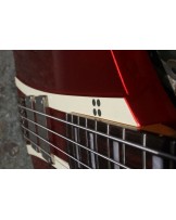 SANBERG Forty Eight 4-string