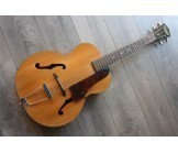 HARMONY PATRICIAN H1407 with Fishman