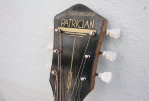HARMONY PATRICIAN H1407 with Fishman
