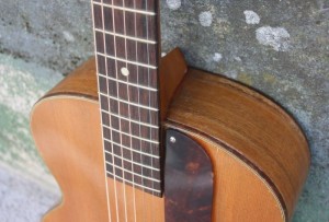 HARMONY PATRICIAN H1407 with Fishman