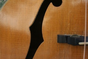 HARMONY PATRICIAN H1407 with Fishman