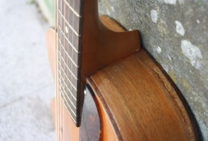 HARMONY PATRICIAN H1407 with Fishman