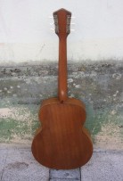 HARMONY PATRICIAN H1407 with Fishman