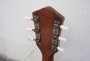 HARMONY PATRICIAN H1407 with Fishman