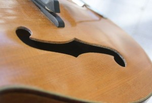 HARMONY PATRICIAN H1407 with Fishman