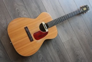 HARMONY H162 with LR Baggs M-80