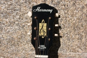 HARMONY H162 with LR Baggs M-80