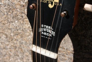 HARMONY H162 with LR Baggs M-80