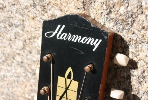 HARMONY H162 with LR Baggs M-80