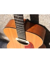 HARMONY H162 with LR Baggs M-80