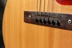 HARMONY H162 with LR Baggs M-80