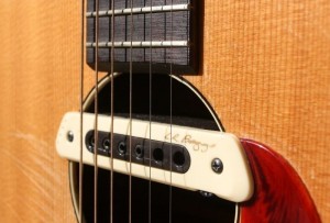 HARMONY H162 with LR Baggs M-80