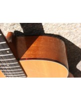 HARMONY H162 with LR Baggs M-80