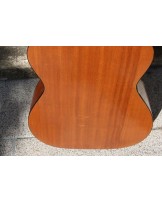 HARMONY H162 with LR Baggs M-80