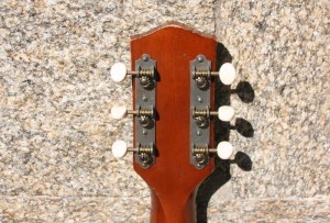 HARMONY H162 with LR Baggs M-80