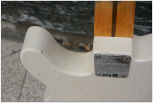 FENDERB 2017 Tele Journeyman