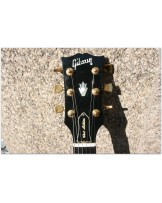 GIBSON Chet Atkins Country Gentleman