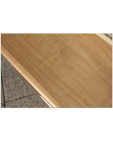 DaRibeira Salamandra 1 x 12