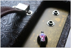 MAYBACH Wilhelm 5W Reverb Combo