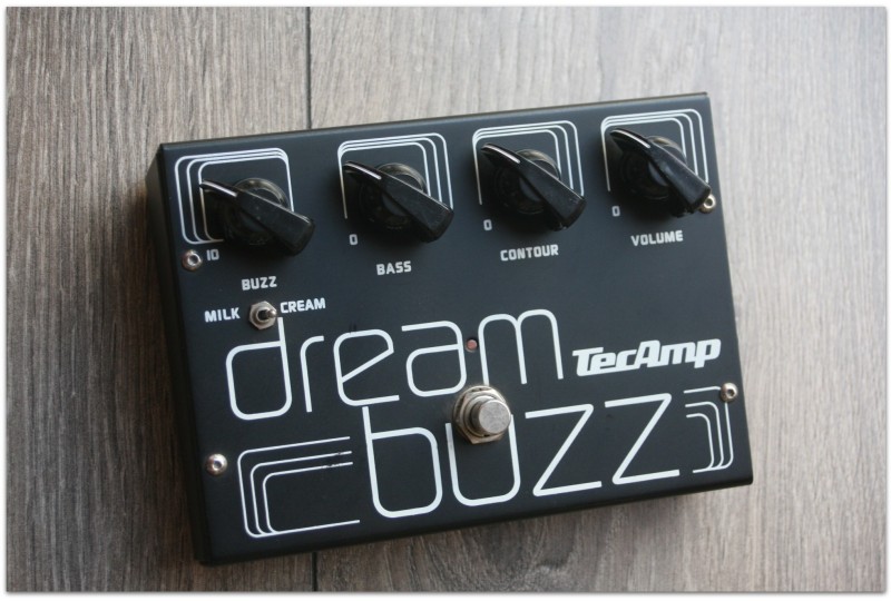 TECAMP Dream Buzz