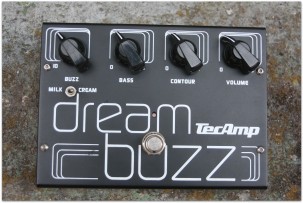 TECAMP Dream Buzz