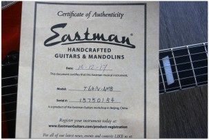 EASTMAN T64/v Amber