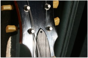 EASTMAN T64/v Amber
