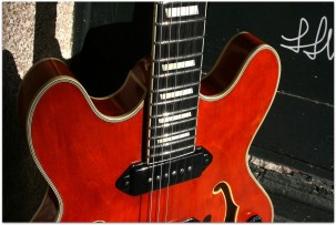 EASTMAN T64/v Amber