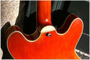 EASTMAN T64/v Amber