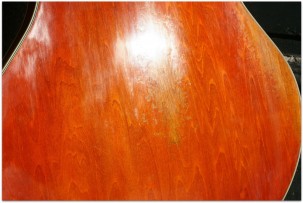 EASTMAN T64/v Amber