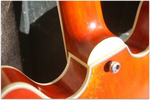 EASTMAN T64/v Amber