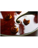 EASTMAN AR-372 CE Classic