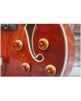 EASTMAN AR-372 CE Classic