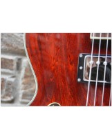 EASTMAN AR-372 CE Classic
