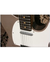 FENDER 1959 Telecaster Journey Relic Aged Sherwood Green