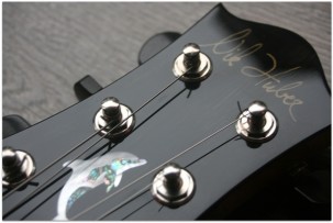 NIK HUBER Orca 2008